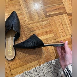 Lulu’s mules